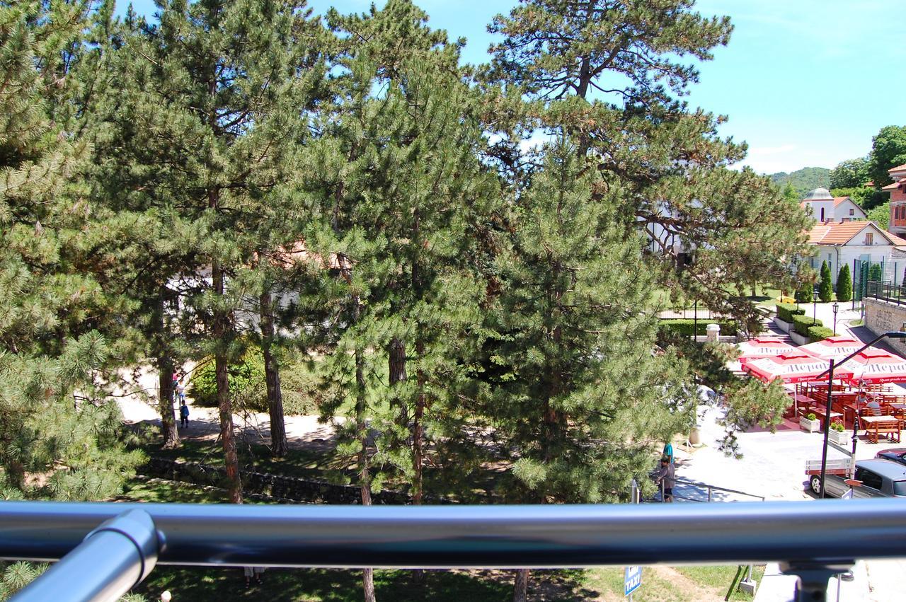 Guesthouse Sunny Sokobanja Zewnętrze zdjęcie