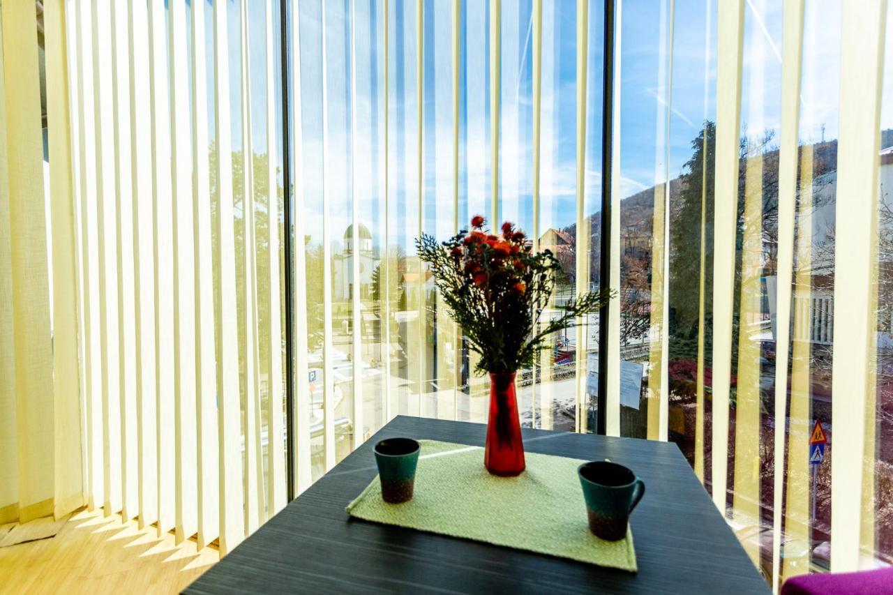 Guesthouse Sunny Sokobanja Zewnętrze zdjęcie